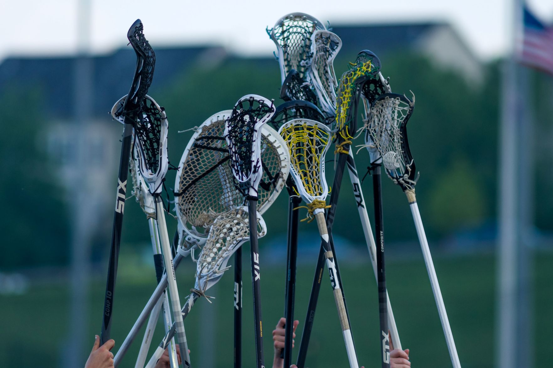 RIV_DOM glax_10.jpg